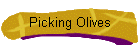 Picking Olives